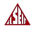 El Seif Group - logo